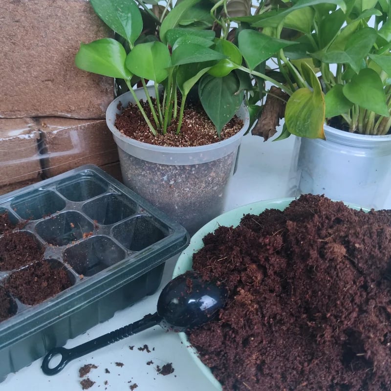 🔥LAST DAY 49% OFF🌱Premium Organic Coconut Coir Bricks for Plants